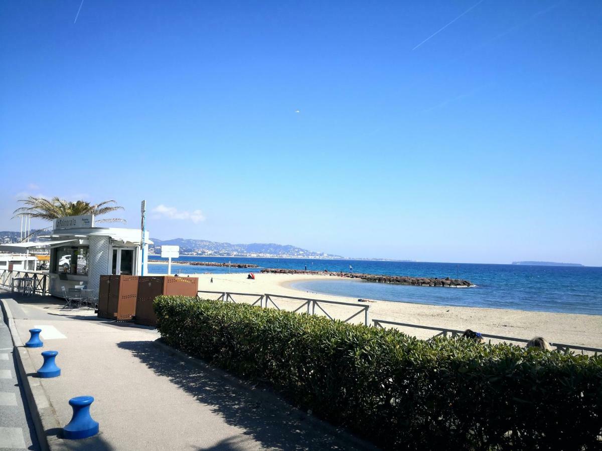 Cannes Marina Mandelieu-la-Napoule